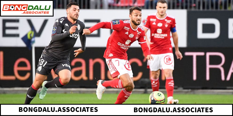 Đánh giá biến động tỷ lệ kèo chấp và xác suất thắng cược