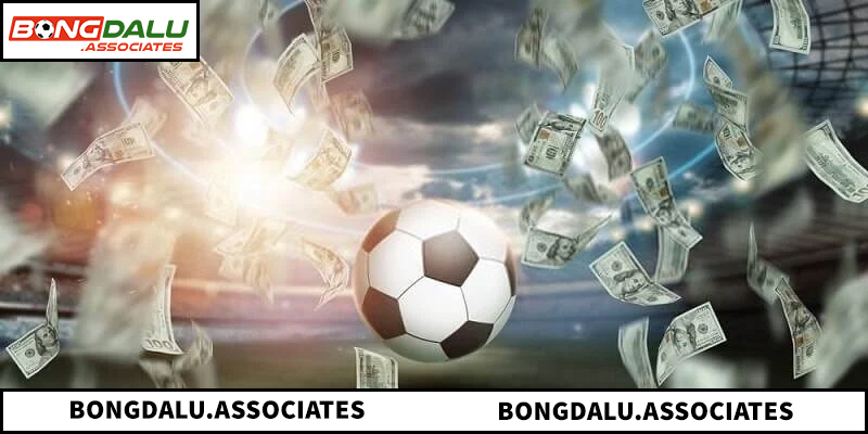 Hướng dẫn công thức tính lợi nhuận từ các tỷ lệ cược thực tế