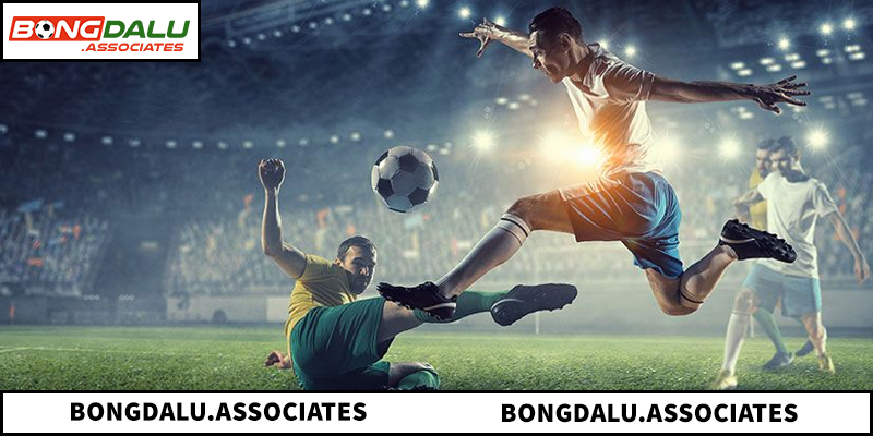 Lý do nên sử dụng dữ liệu BONGDALU để soi kèo chính xác